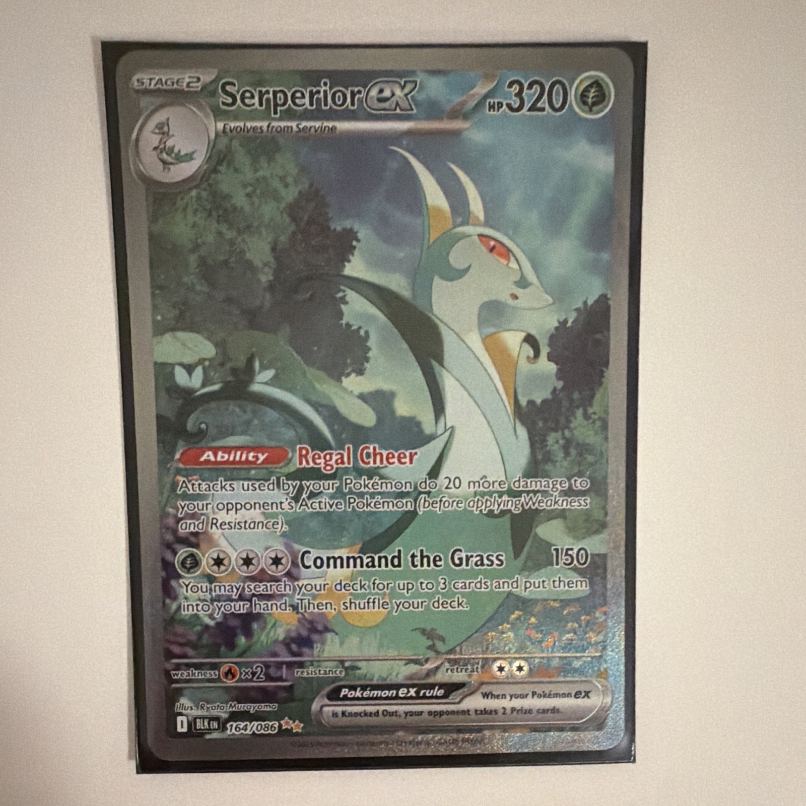 Serperior ex 164/086 SV Black Bolt SIR Full Art Holo 320HP