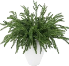 60 Pcs Norfolk Pine Picks, Real Touch Norfolk Pine Branches Faux Evergreen Norfo