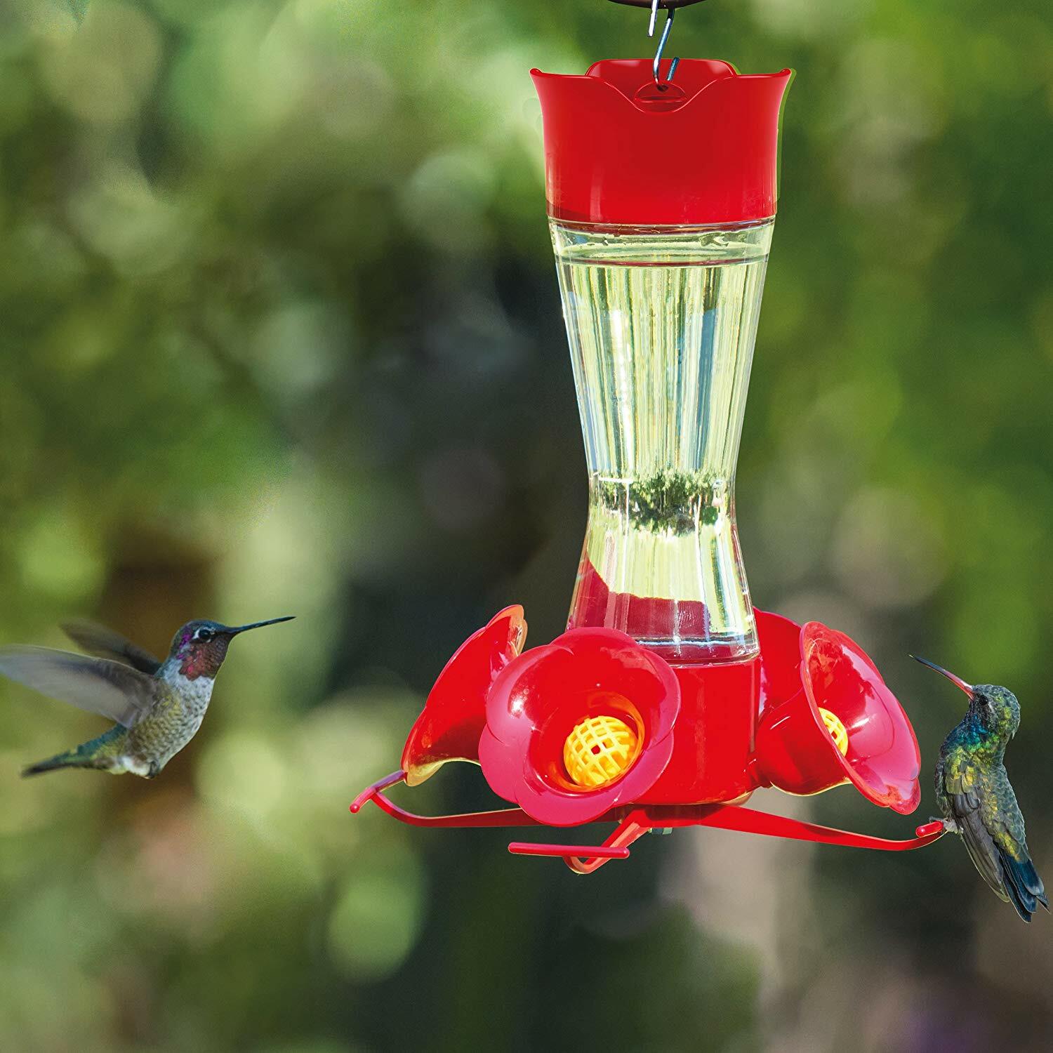 Perky Pet Pinch Waist Glass Hummingbird Backyard Wide Mouth Feeder