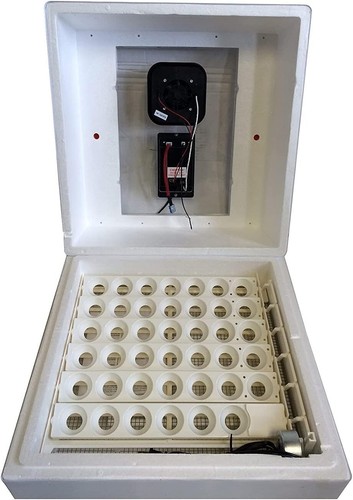41-Egg Capacity Digital Air Incubator with Auto Egg Turner & Humidity Control - Picture 3 of 11