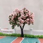 Foto 14 di 30