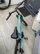 Apollo Zest junior  mountain bike 20 inch wheels