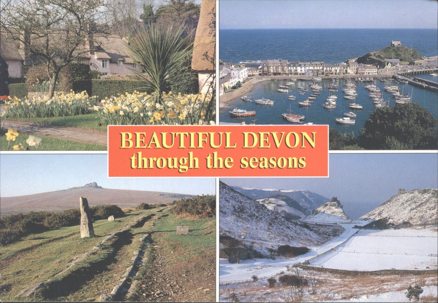 Beautiful Devon Through Seasons Postcard - Cockington, Ilfracombe, Dartmoor