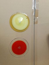 47 Dischi in Vetro di Murano per Lampadari – Originali, Artigianali 