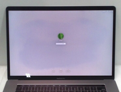 Geniune Apple LCD Screen Assembly for 15