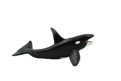 ミニ四駆 完成品 MAカスタム Killer Whale MK-2 Orca, Killer Whale, Rubber Animal, Realistic Toy Figure, Model 3