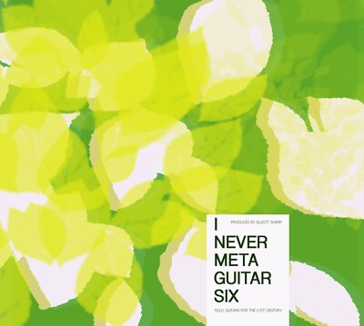 ELLIOTT SHARP PRES. VARIOUS ARTISTS - I Never Metaguitar 6 - CD NEU