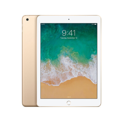 Apple iPad 5th Generation (2017) 32GB 128GB WiFi/4G EXCELLENT