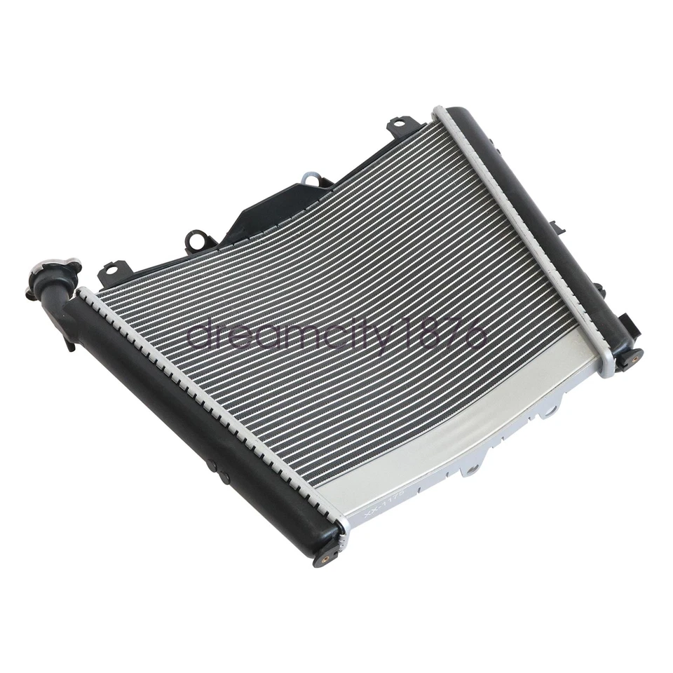 Enfriador radiador BMW M1000RR 2021-2024 S1000R 2021-2024 S1000RR 2019-2024 Foto 4 de 4