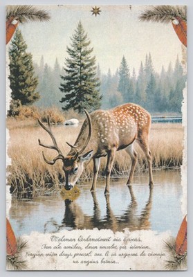 Deer Native American 4x6 New 2026 Image Card PC