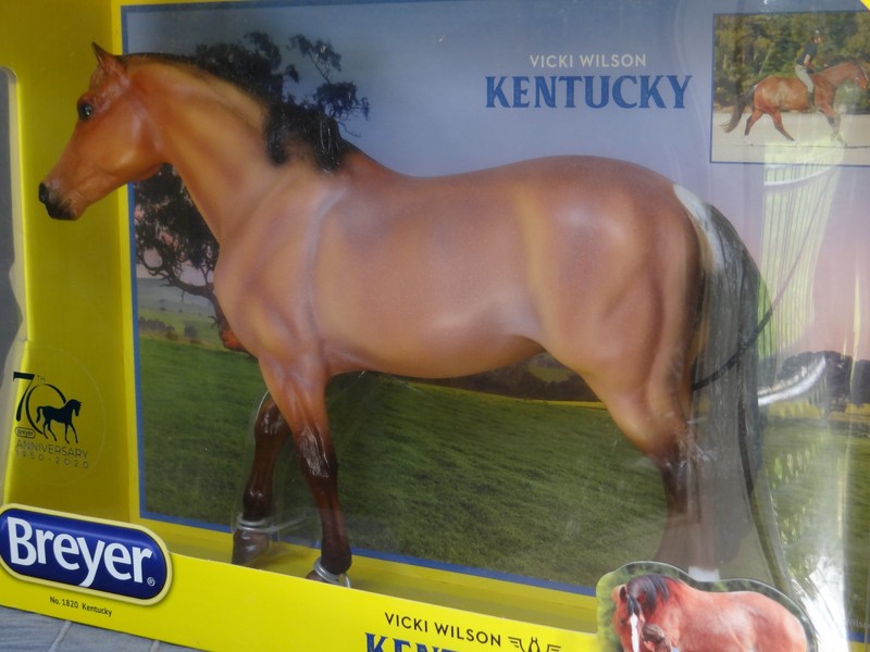 Breyer Trad. Vicki Wilson's Champion "Kentucky" (San Domingo Mold- 2019-2020)