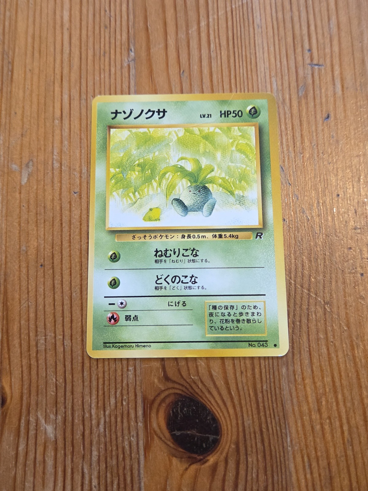 Pokémon TCG Oddish Team Rocket 43 Regular Unlimited Common NM Japanese
