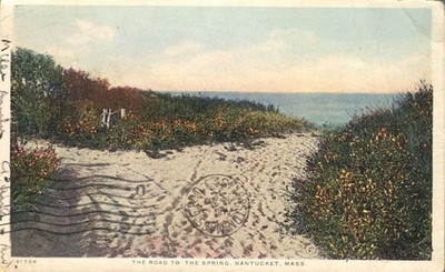 Road to Spring Nantucket Massachusetts Sand Path Spring Flowers 1923 Postcard