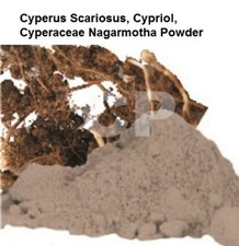 Cyperus Scariosus, Cypriol, Cyperaceae Nagarmotha Powder 100gm 3.5 OZ '