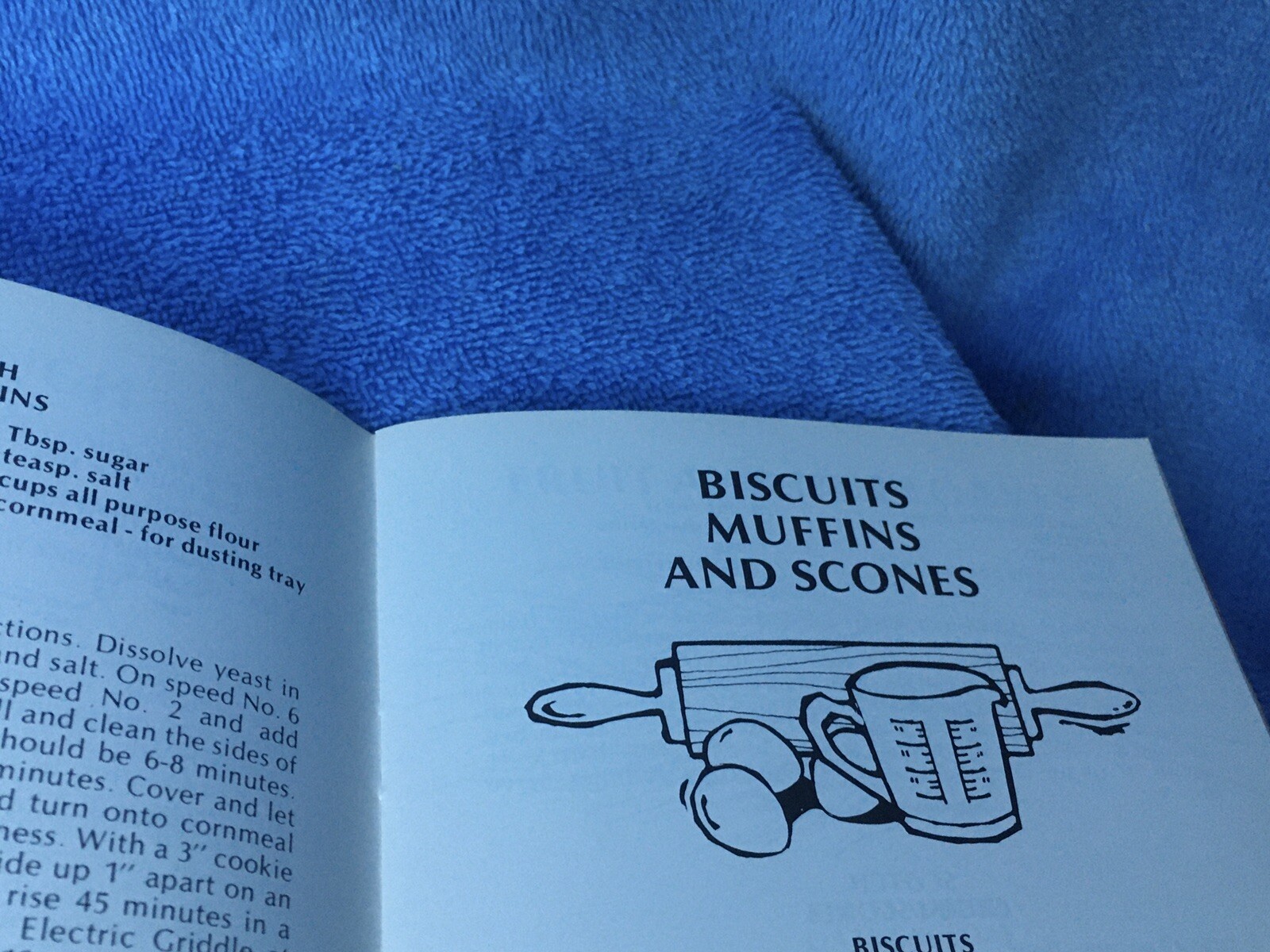 Vintage 1975 Sunbeam Deluxe Mixmaster Mixer Recipes Booklet Over 50 Pages