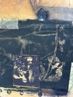 Fran Skiles Sitting Bird Series V Mixed Media Lacquered Collage 34x20.5 Signed — photo 2