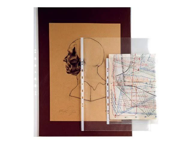 50 Buste a foratura universale A5 trasparenti raccoglitore ad anelli 15x21cm - Immagine 2 di 4