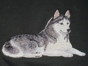 siberian husky jacket