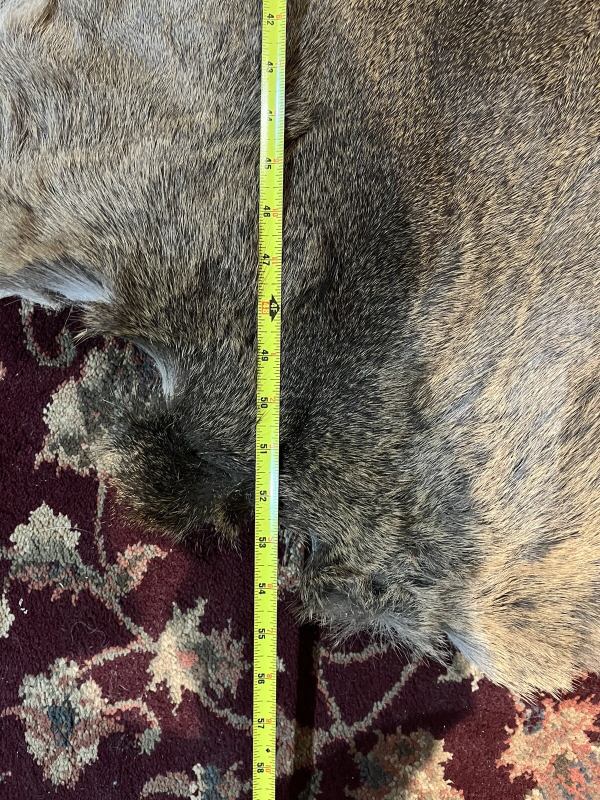 tanned deer hide hair on eBay