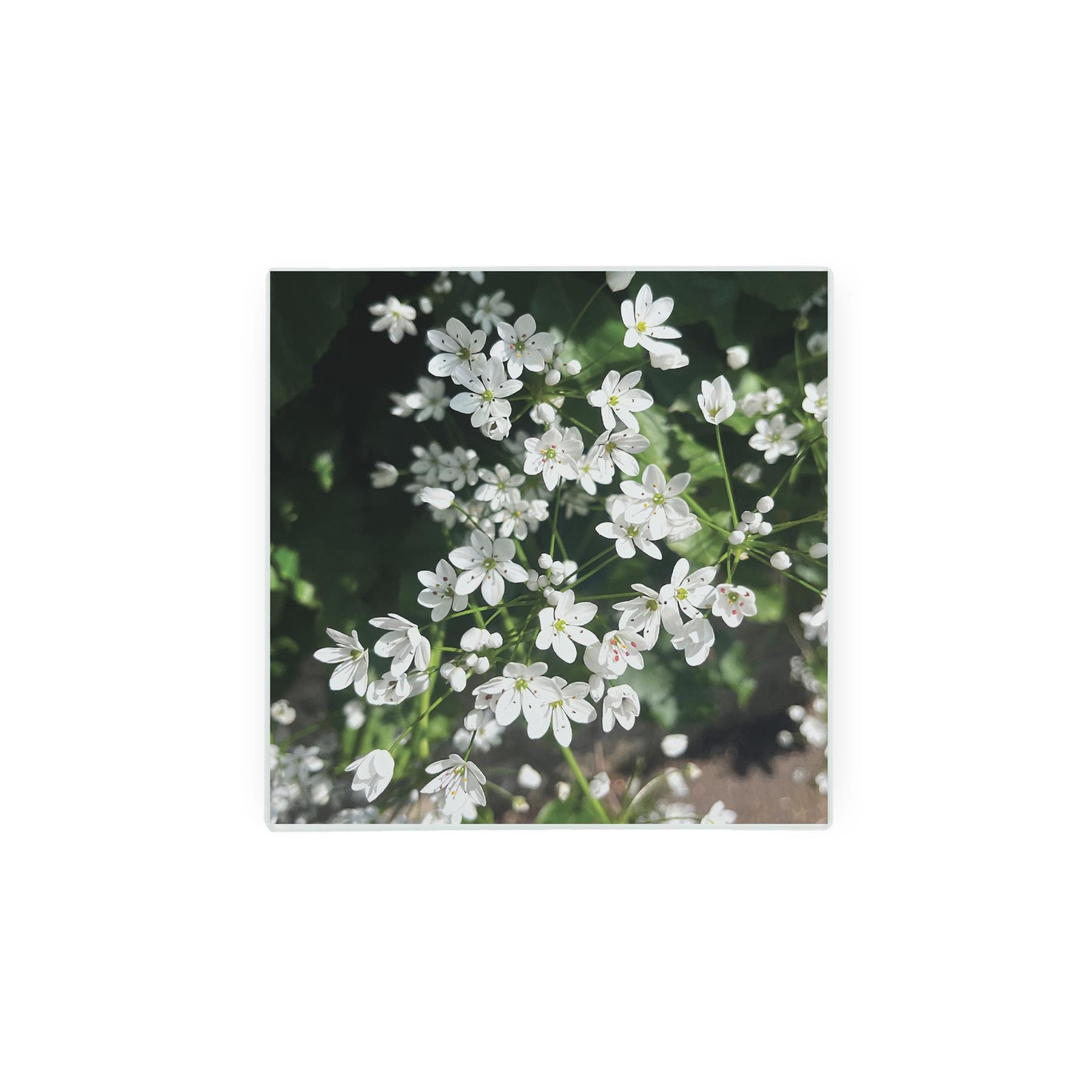 White Flowers Glass Square Hot Pot Stand/Trivet - Ditsy Floral Kitchen Gifts