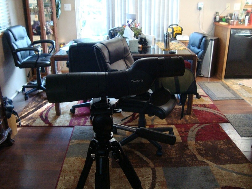 Swarovski spotting scope 20x60 power with case and tripod excellent++