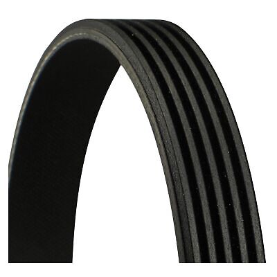 5PK1765 CONTITECH 5 PK 1763 Cinghia servizi 1765mm, 5 | Inserisca subito un ordine