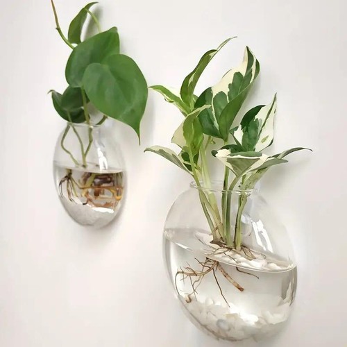 Wall Hanging Glass Terrarium Station, Wall-mounted Vases for Home & Office Decor - Picture 20 of 26
