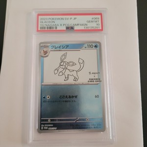 Yu Nagaba Glaceon Psa 10 | eBay