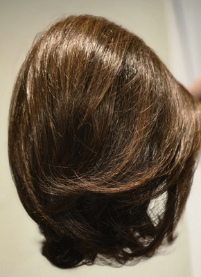 UPSTAGE WIG Raquel Welch RL6/30 Copper Mahogany - Average