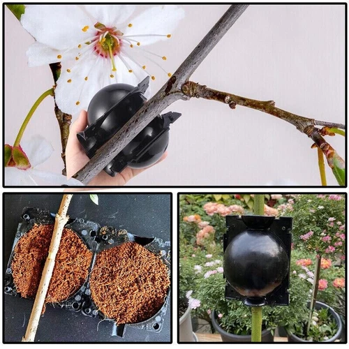 2/5/10X Plant Rooting Device Grafting Ball Box Growing High Pressure Propagation - Bild 6 von 21