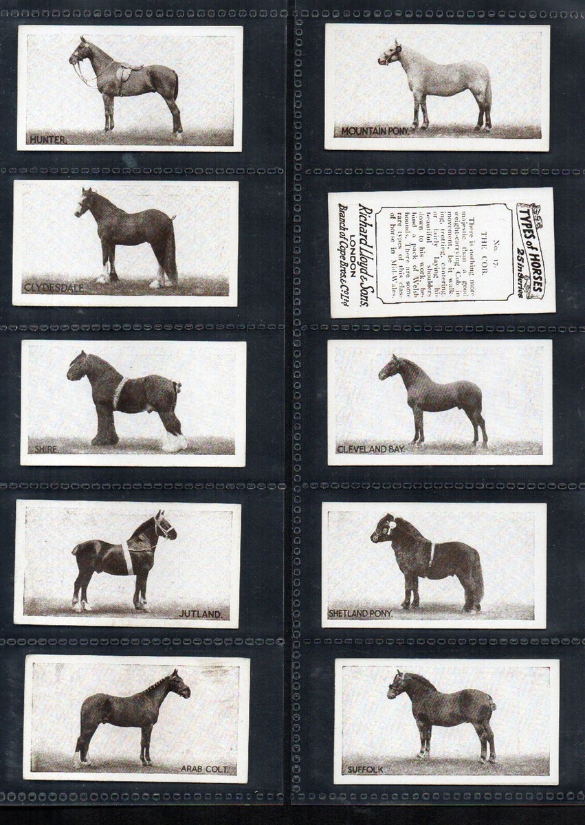horse racing cigarette cards Cigarette cards tobacco cards Types of Horses 1926 set, Stallion, Pony,  Shire,