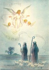  on The Hot Collector