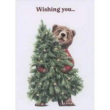 Wishing You Smiling Bear in Red Sweater Holding Tree Box of 15 Christmas Cards