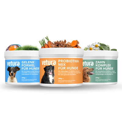 All-in-One Hunde Bundle | Probiotika, Zahnpflege & Gelenkpulver | 3 x 200g