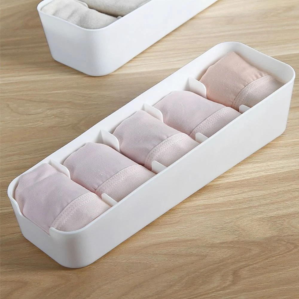 Dust and Moisture Resistant Underwear Storage Box Underwear