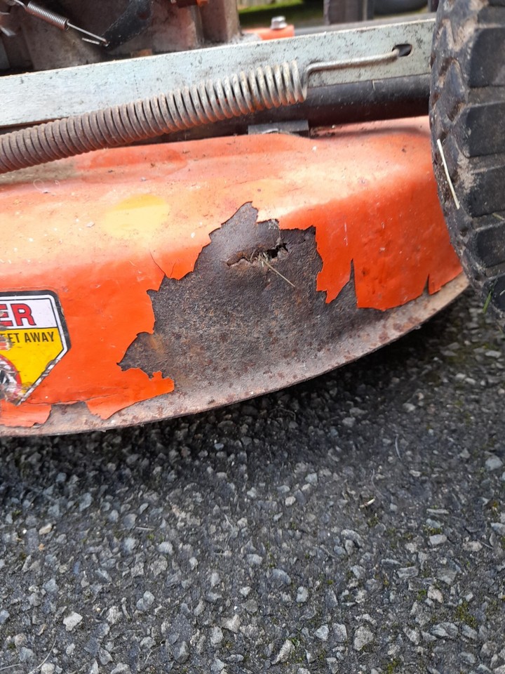 Petrol Lawn Mower eBay