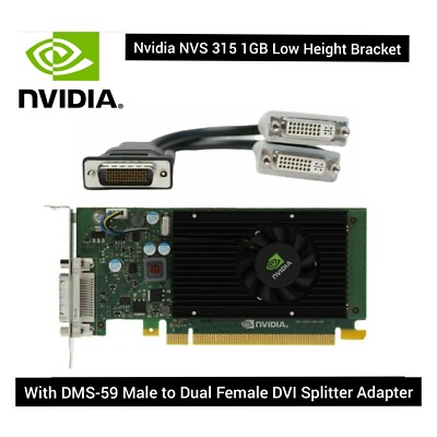 NVIDIA Quadro NVS 315 1 GB GDDR3 W/ DMS-59 Male to Dual Female DVI Splitter 