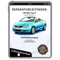 VW EOS 1F 2006-2015 Kraftstoffversorgung Benzinmotoren Reparaturanleitung PDF