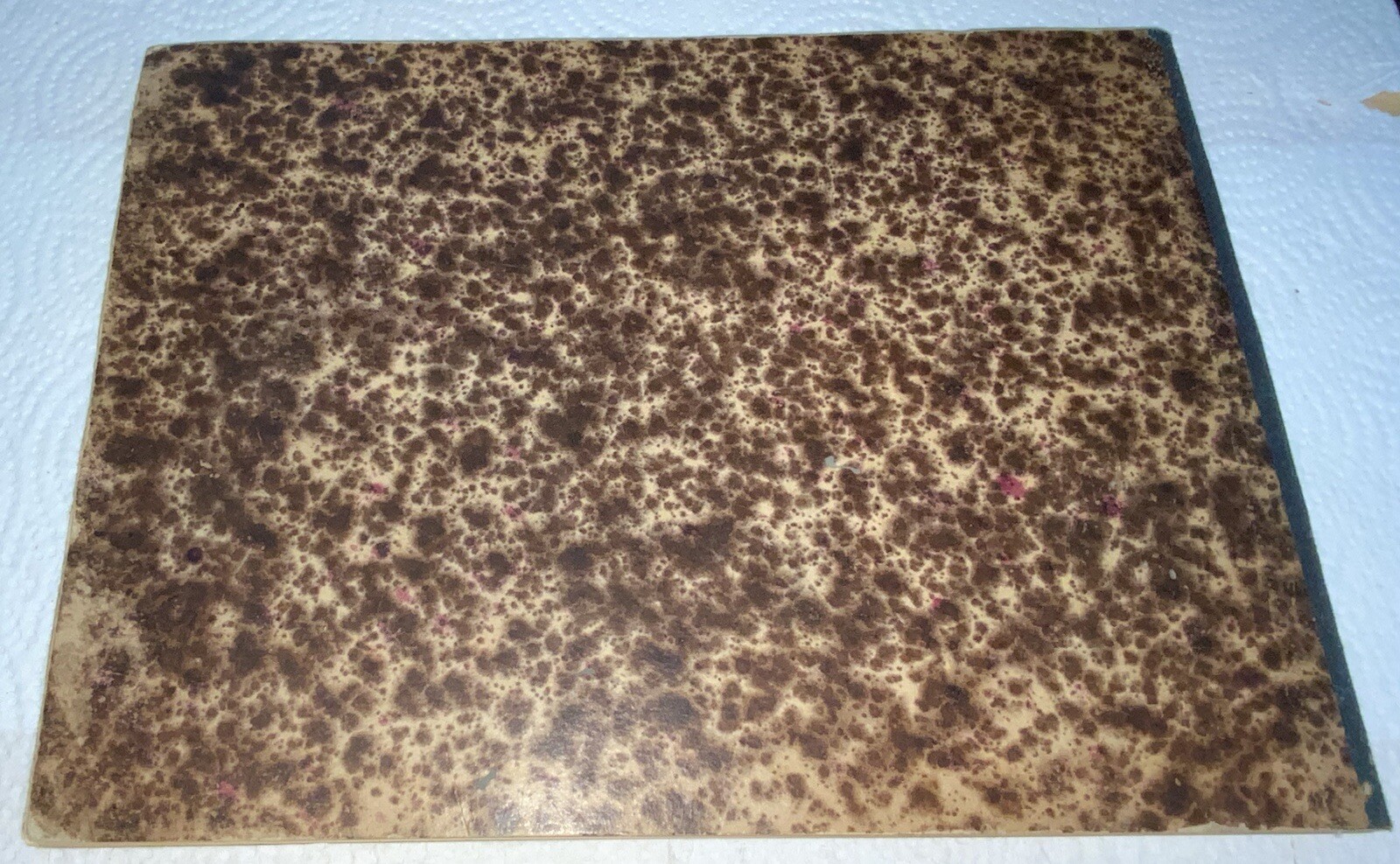 Picture 10 of 10