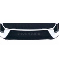 Ford Focus RS MK3 – Unterer Grill, Schwarz (2016 Bis 2018)