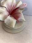 Foto 3 di 15