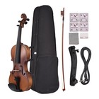 4/4 EQ Violin Full Size Set Solid Wood Violin for Beginners Students School S9T5