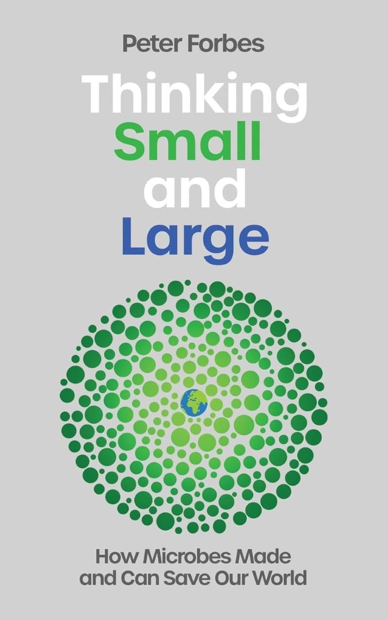 Thinking Small and Large by Peter Forbes - - Image 6