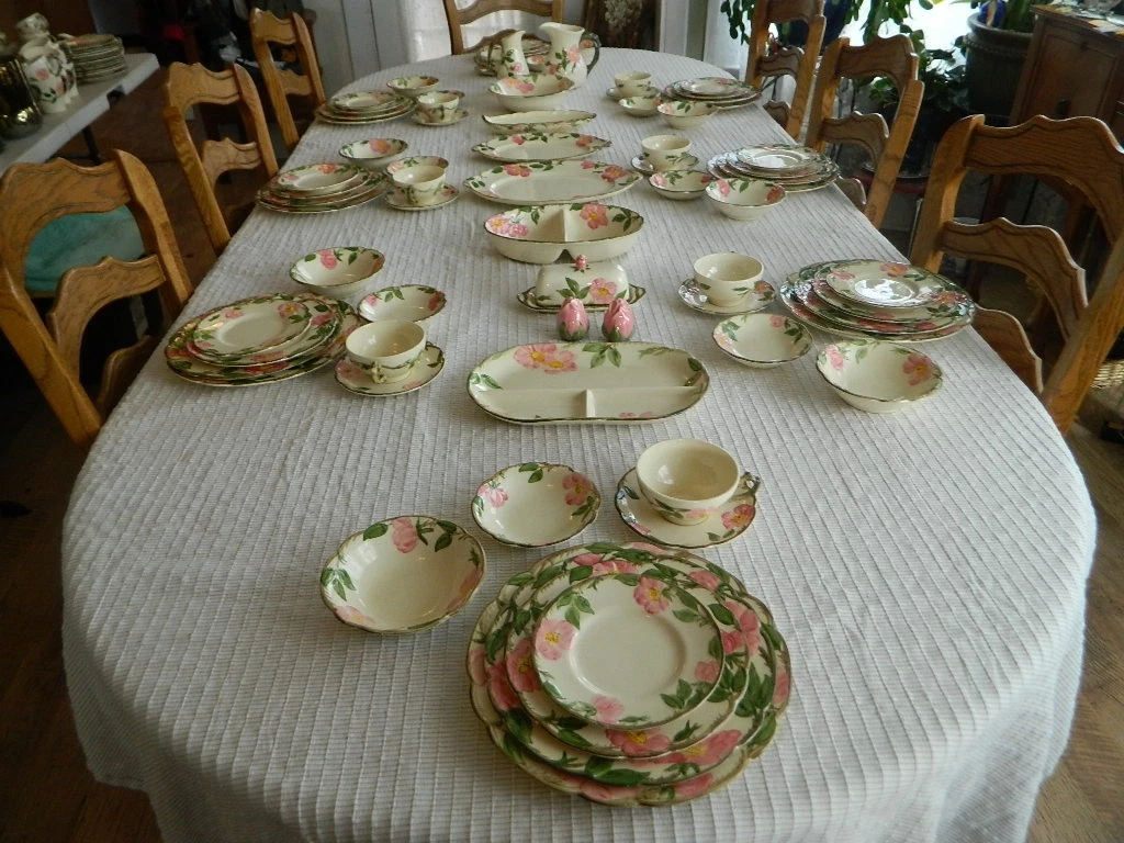 25+ Franciscan Dinner Service Sets for sale | Updated Oct 2026