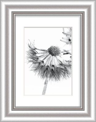 Bilderrahmen ELEGANCE silber BH 30x24 cm silber Fotorahmen