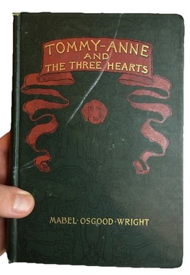 Antique Victorian Book TOMMY-ANNE AND THE THREE HEARTS MABEL OSGOOD WRIGHT 1898