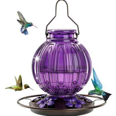 Glass Hummingbird Feeder for Outdoors Hanging, Bird Nectar Feeder with Perch ...