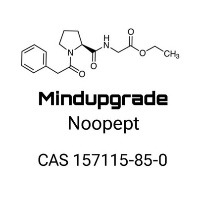 GVS111 -10g Pulver -Reinheit 99% - CAS 157115-85-0 -Für Forschungszwecke Noopept