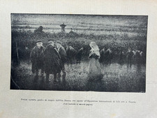 Illustrazione originale d'epoca 1903 a pagina intera Dall'Oca Bianca Foglie