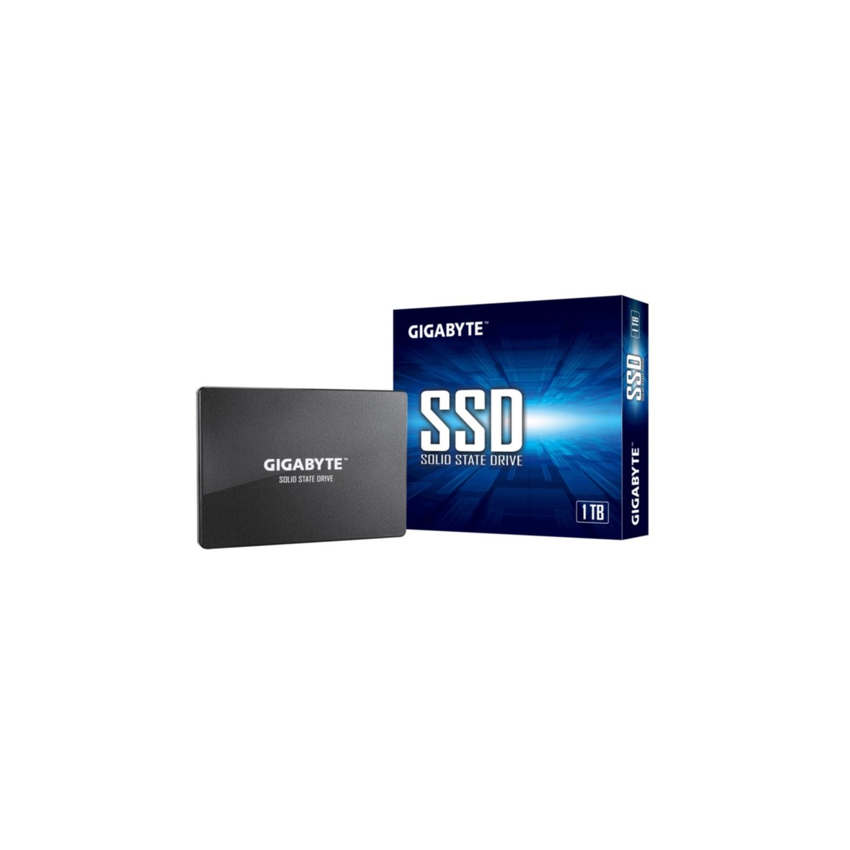 Gigabyte SSD 1TB SATA3 | Modello GP-GSTFS31100TNTD | Unità A Stato Solido Per PC - 2